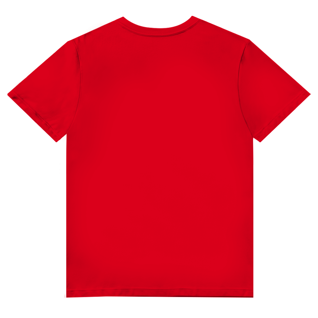 Herren Premium Bio V-Neck T-Shirt